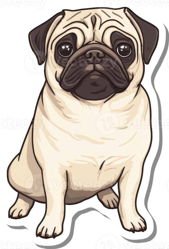 An Adorable Pug Dog Sitting Calmly png