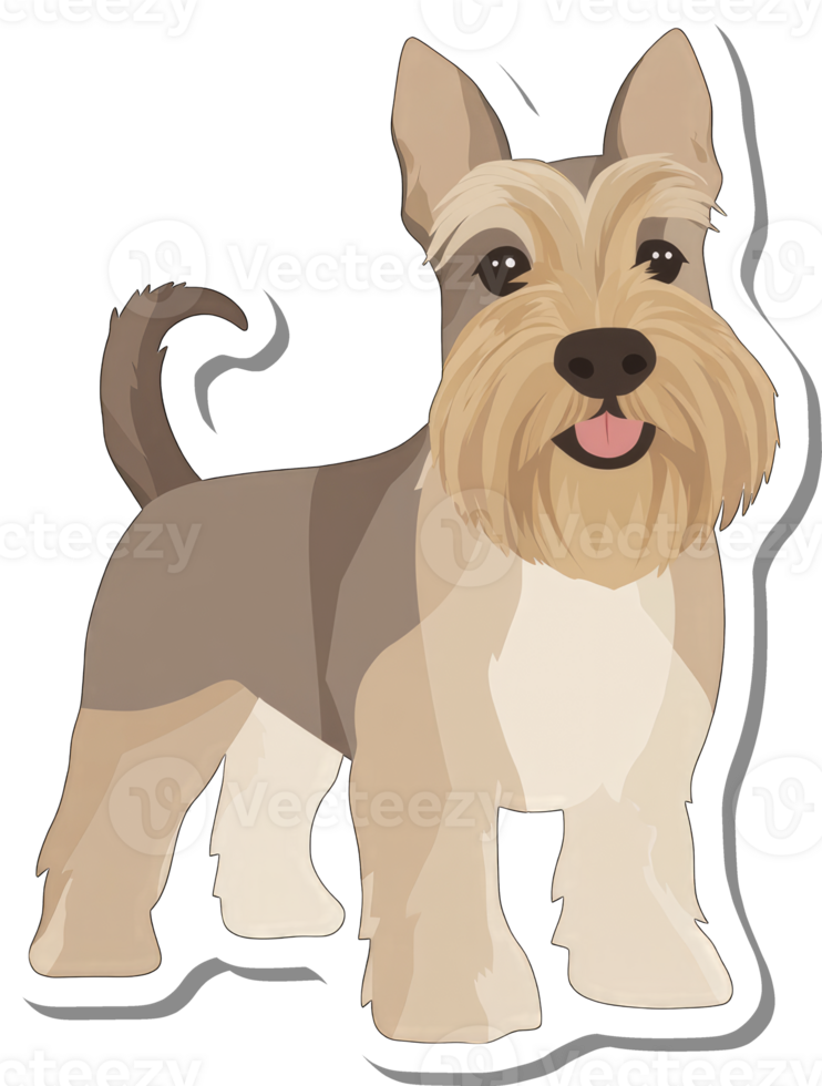 Adorable Miniature Schnauzer Dog Breed Illustration png