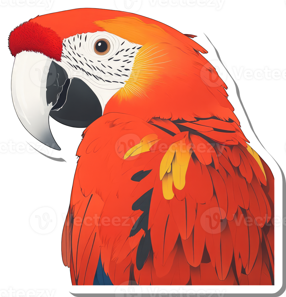Scarlet Macaw Portrait Vivid Feathers Bird png