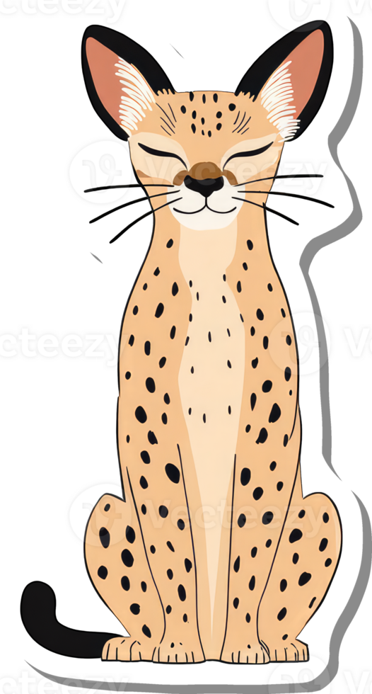 Serene Caracal Cat Sitting Calmly With Closed Eyes png