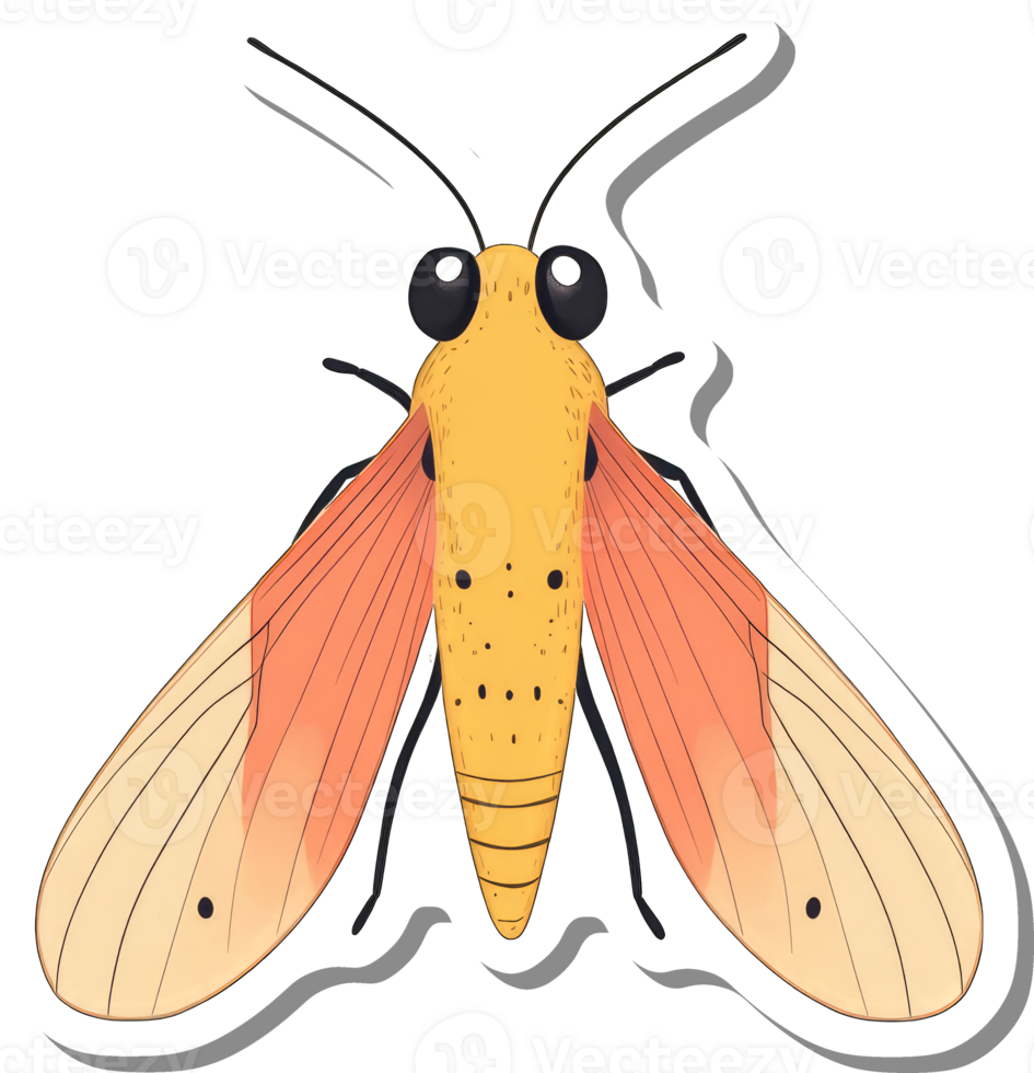 A Colorful Illustration of a Yellow Moth png