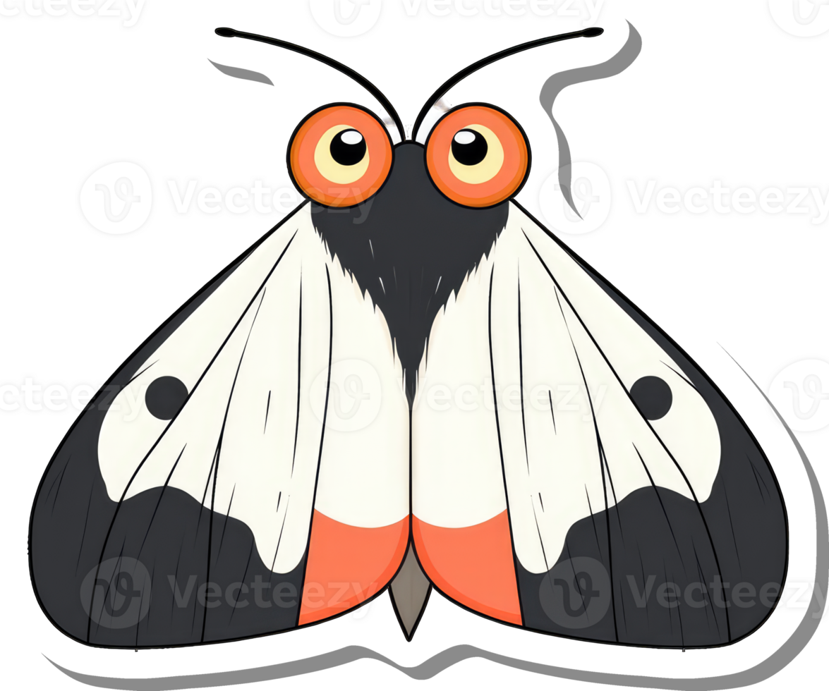 A Colorful Moth With Large Orange Eyes png
