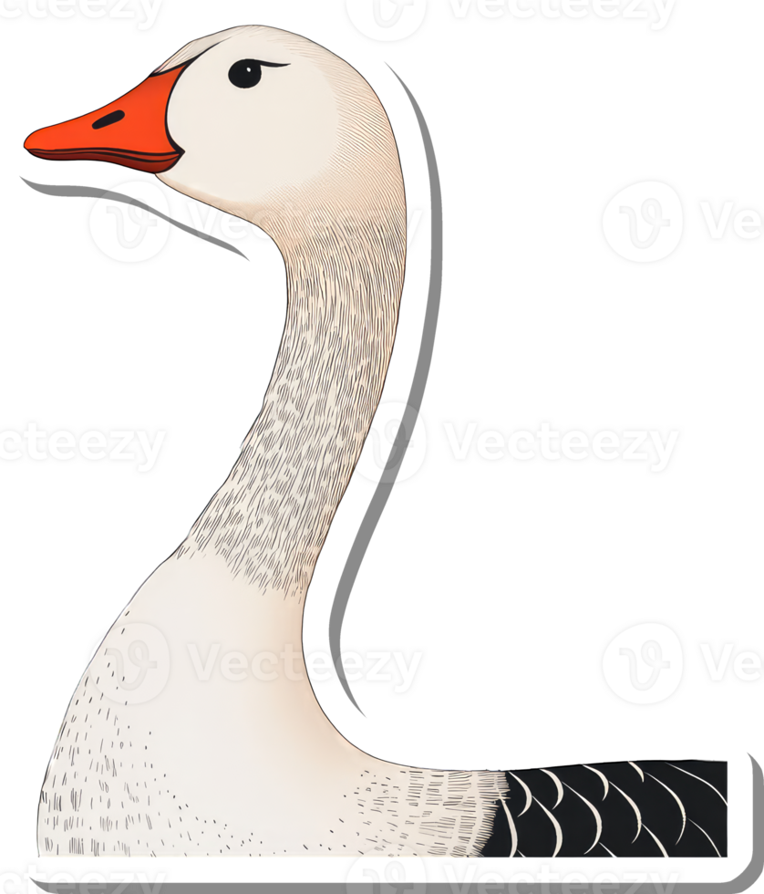 A Detailed Illustration Of A White Fronted Goose png