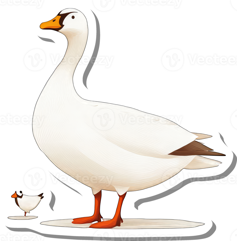 Adult Goose and Gosling Illustration Featuring White Plumage png