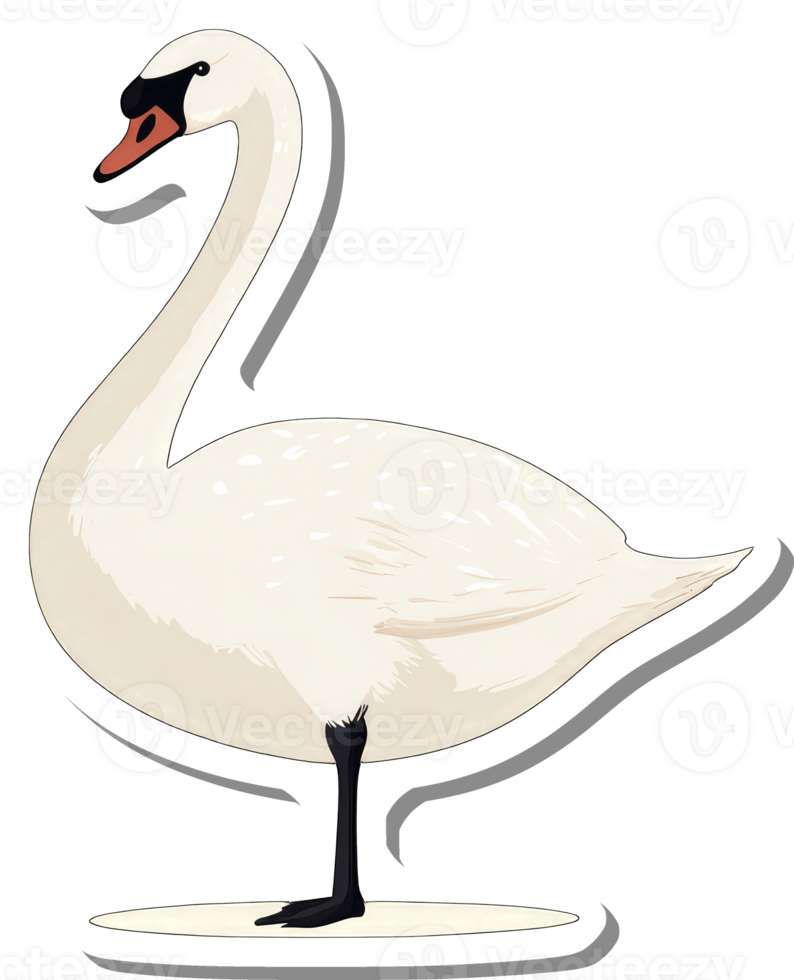 A Detailed Illustration Of A Mute Swan Bird png