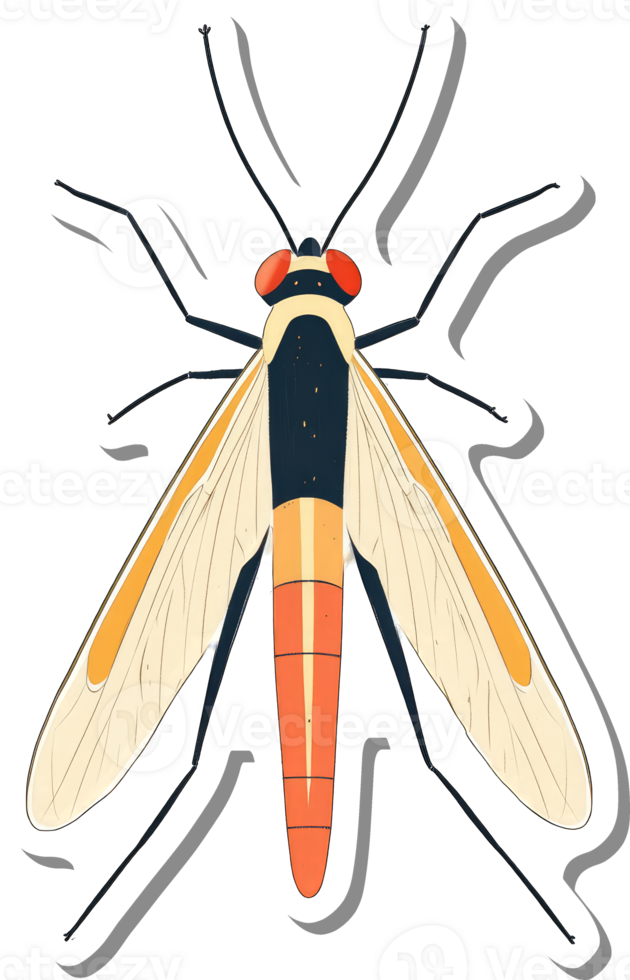 Detailed Illustration of a Colorful Insect with Long Legs png