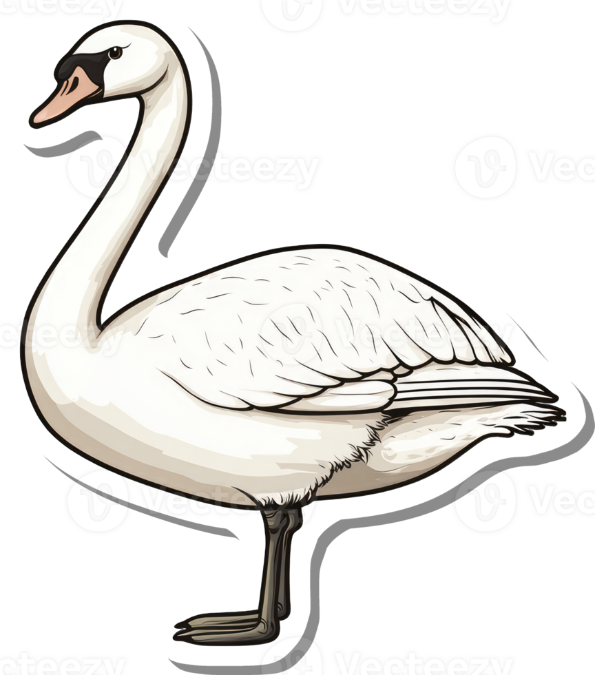A Detailed Illustration Of A White Swan png