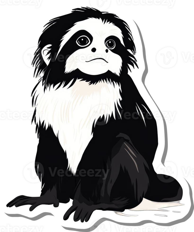 A Black And White Monkey Sitting Down Looking Up png