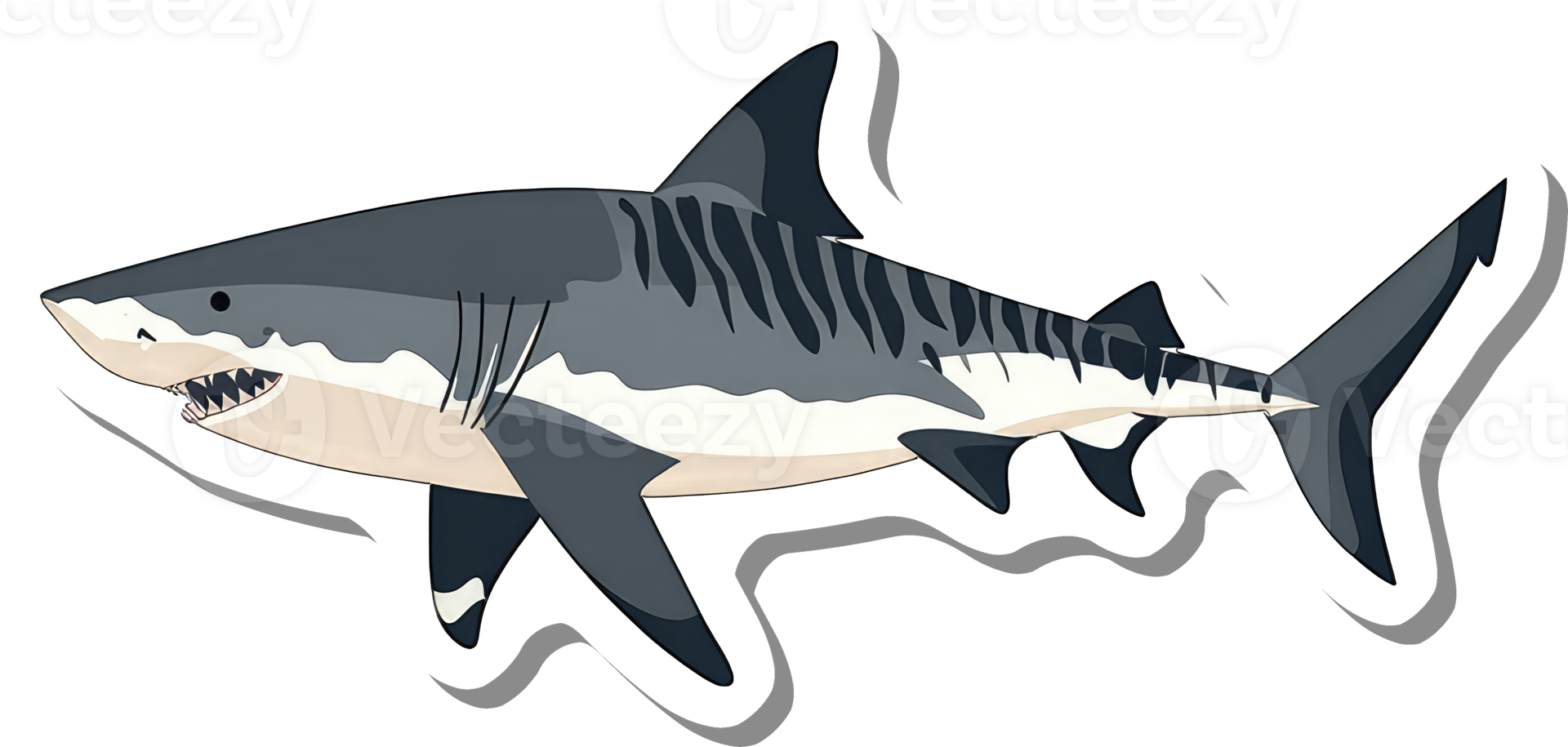 Tiger Shark Illustration Showing Detailed Features png
