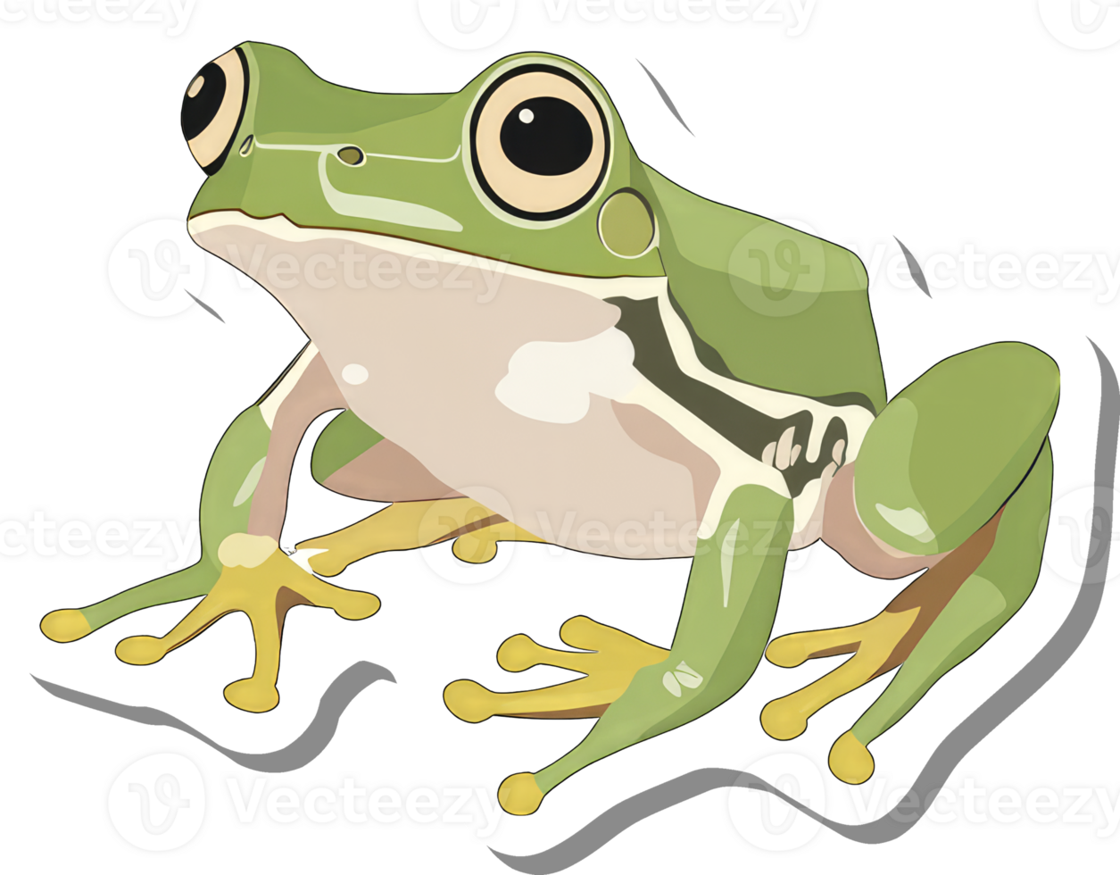 A Green Tree Frog Sitting On A White Background png
