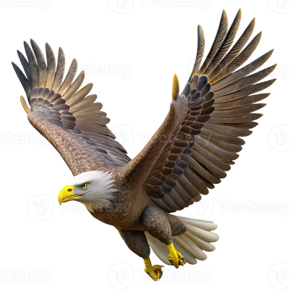 Soaring Bald Eagle with Spread Wings png