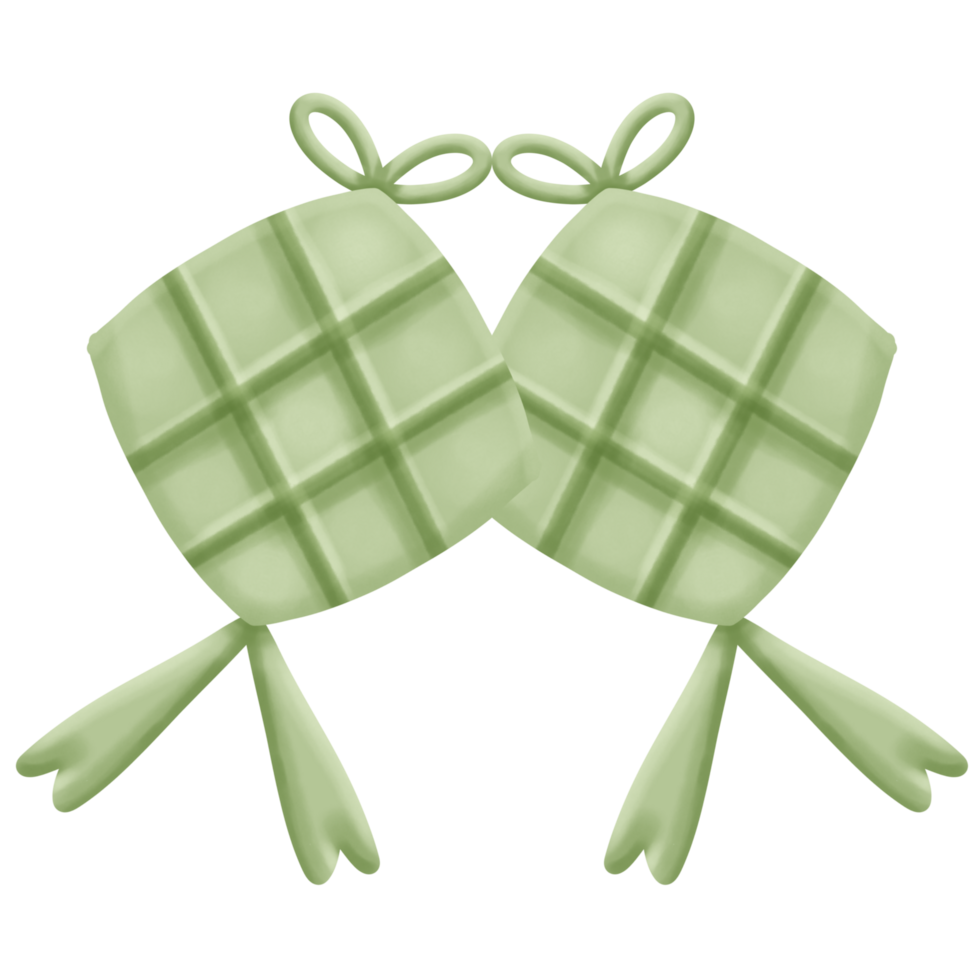 Cute Two Ketupat's Food png