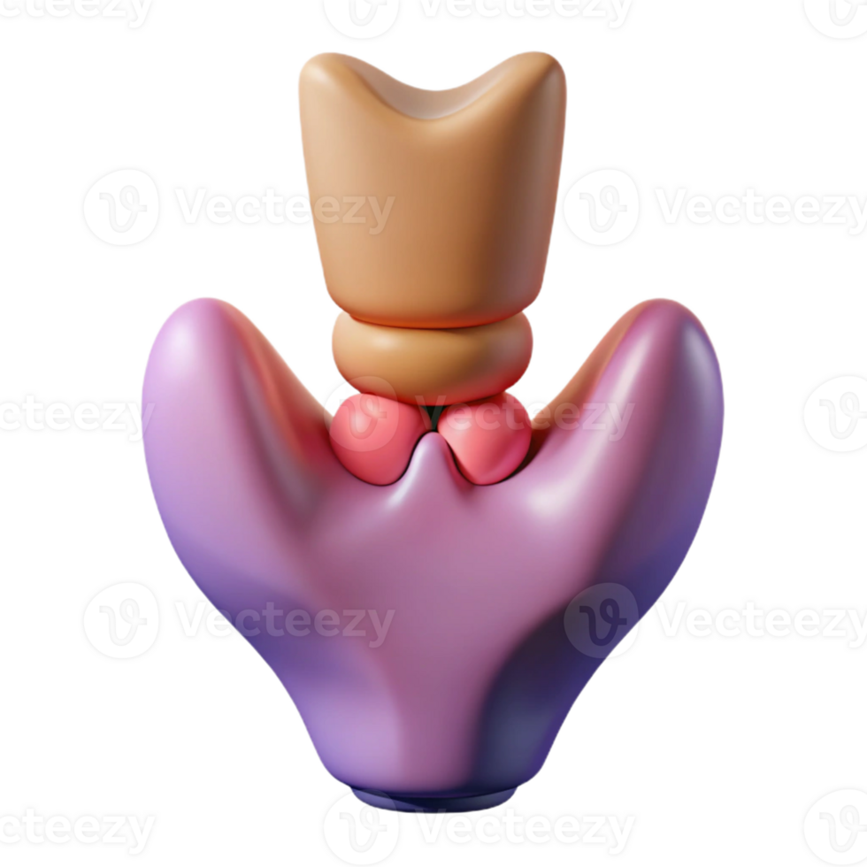 Isometric Rendered Thyroid Gland Anatomy png