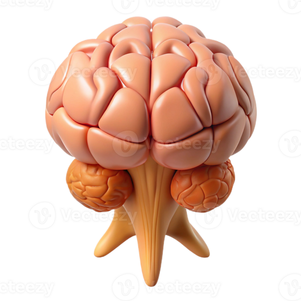 Isometric Model of a Human Brain png