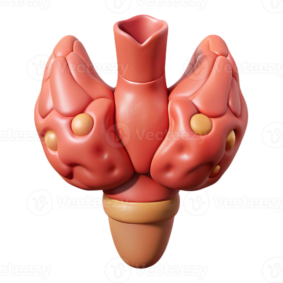 Isometric Render of a Human Thyroid Gland png