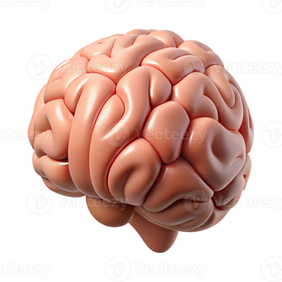 Isometric Human Brain Model png