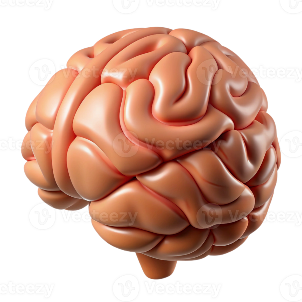 Isometric Render of a Human Brain png