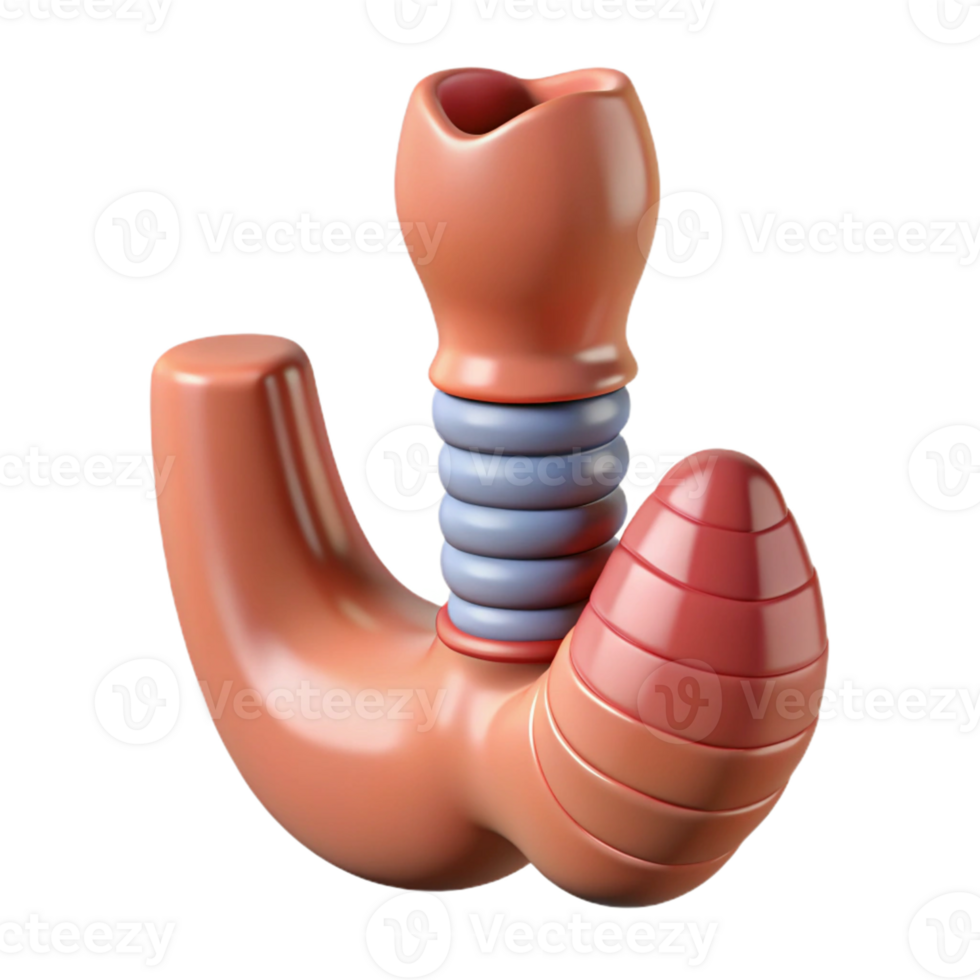 Isometric Illustration of Human Organ png