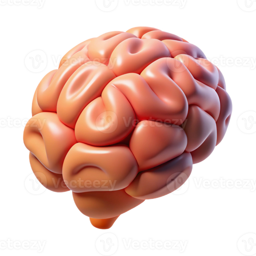 Isometric Rendered Brain Illustration png