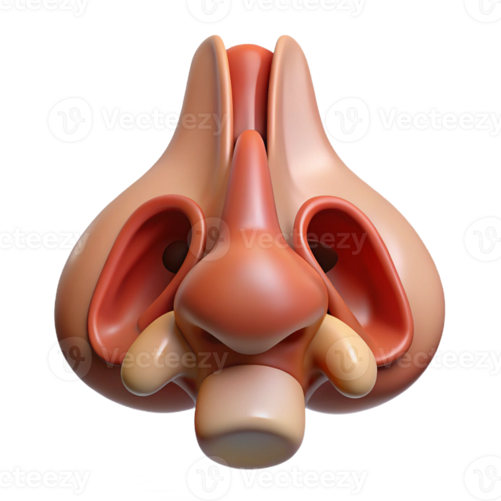 Isometric Cartoon Nose Render png