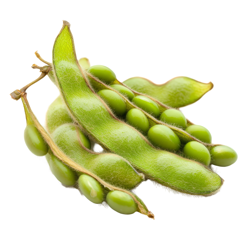 Fresh green soybeans isolated on transparent background showcasing their vibrant color and unique shape, Soybeans isolated png