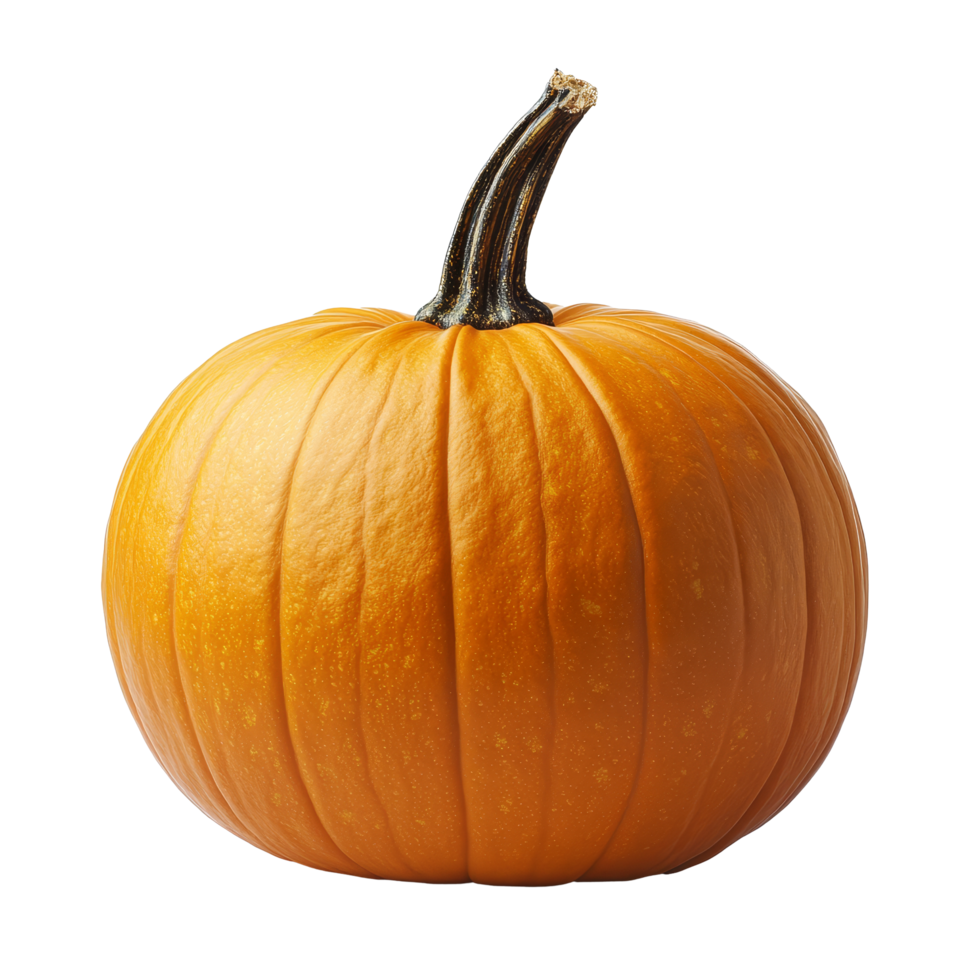 Bright orange pumpkin isolated against a clean transparent background, perfect for autumn and Halloween decorations, pumpkin isolated on transparent background png