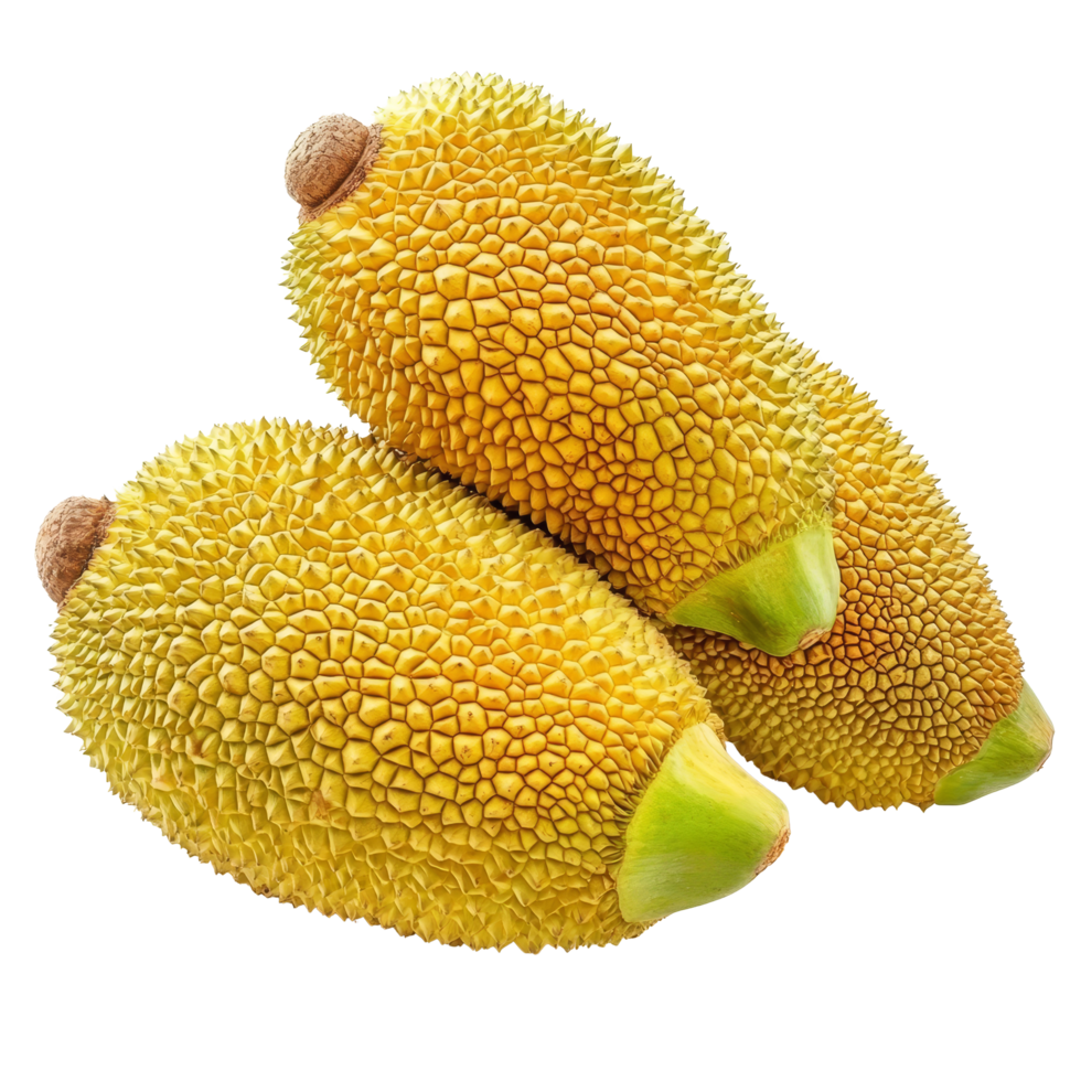 Ripe jackfruits arranged on a transparent background showcasing their unique texture and vibrant color, ripe jack fruits isolated on transparent background png