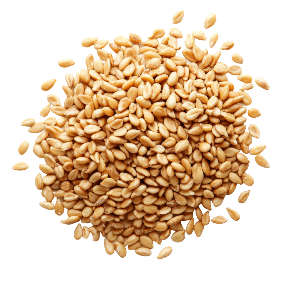 Pile of sesame seeds isolated on a clean transparent background highlighting their natural texture and color, sesame isolated on transparent background png