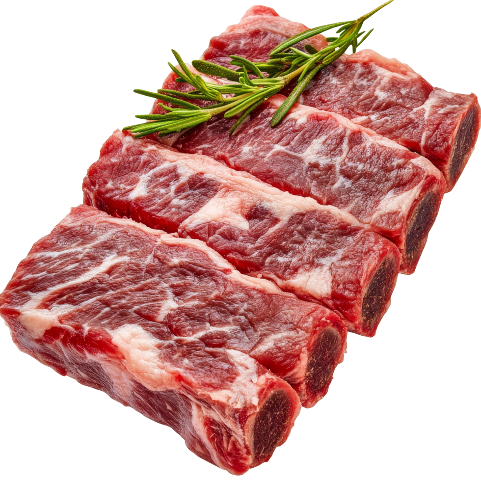 Fresh raw beef ribs isolated on transparent background with a sprig of rosemary for culinary use and recipe inspiration, Isolated fresh raw beef ribs meat part png