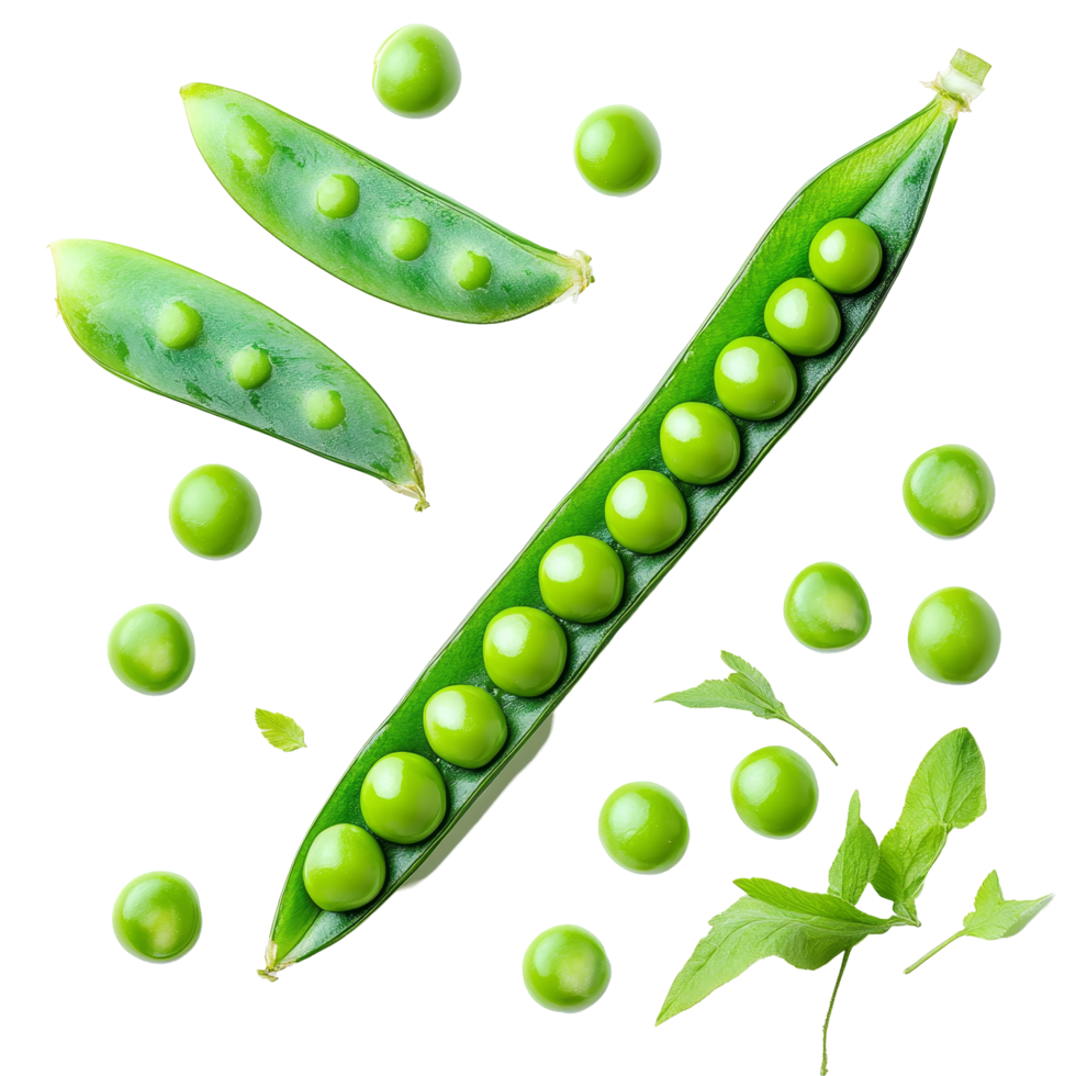 Fresh green peas displayed on a transparent background showcasing pods, peas, and fresh leaves in a simple arrangement, Green peas on transparent background png