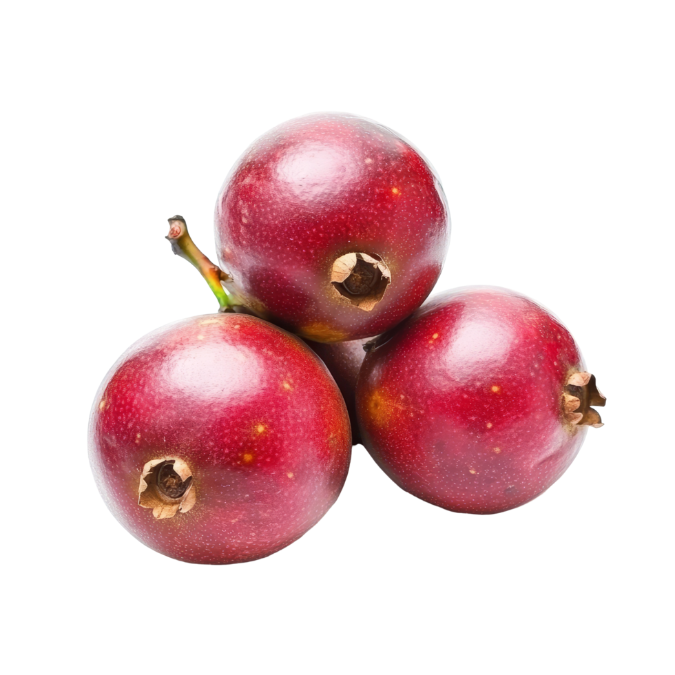 Karonda fruit cluster on a transparent background showcasing its vibrant red color and unique shape for culinary and health benefits, Carunda or Karonda fruit isolated on transparent background png