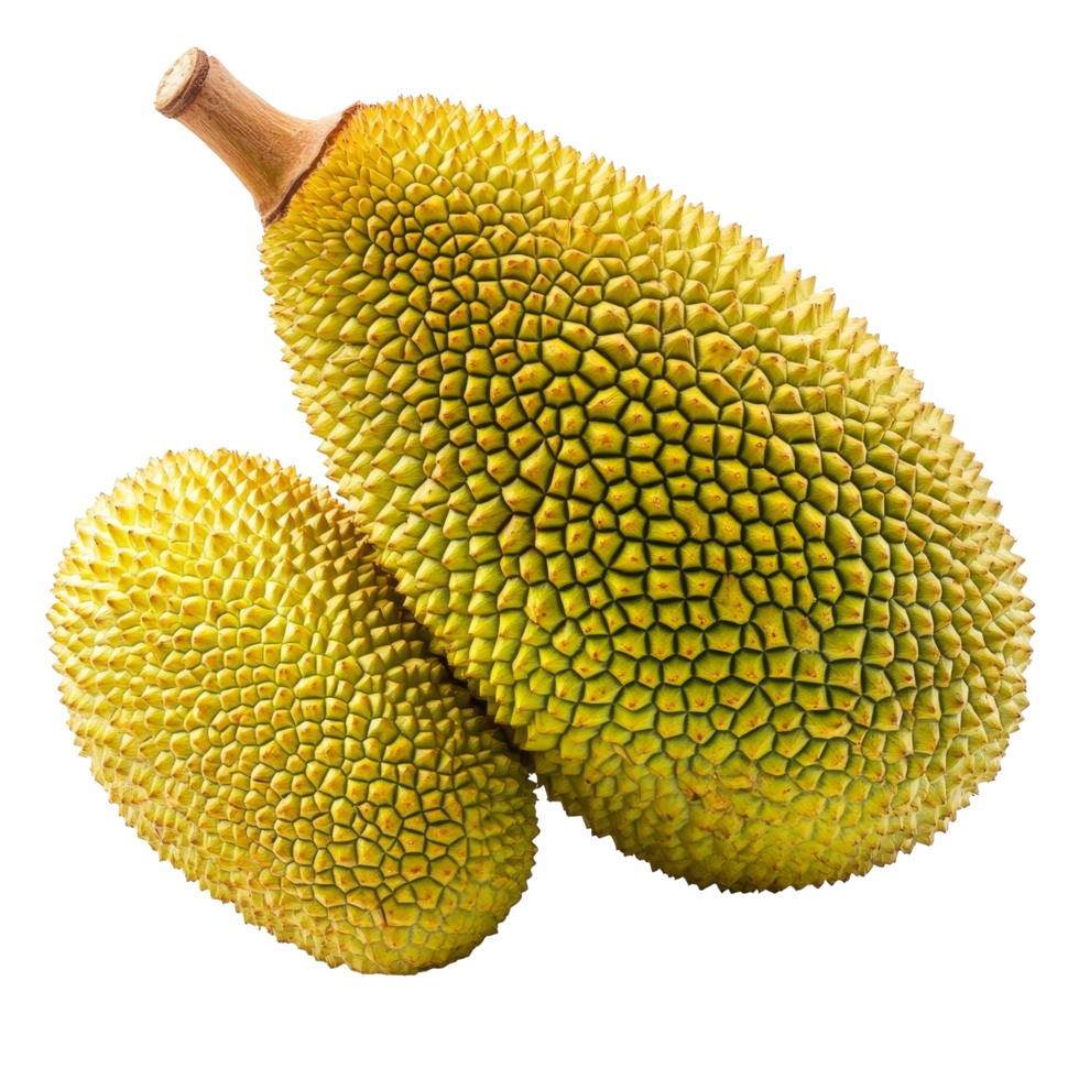 Jackfruit isolated on a transparent background showcasing its unique texture and shape for culinary and nutritional use, Jackfruit isolated on transparent background png