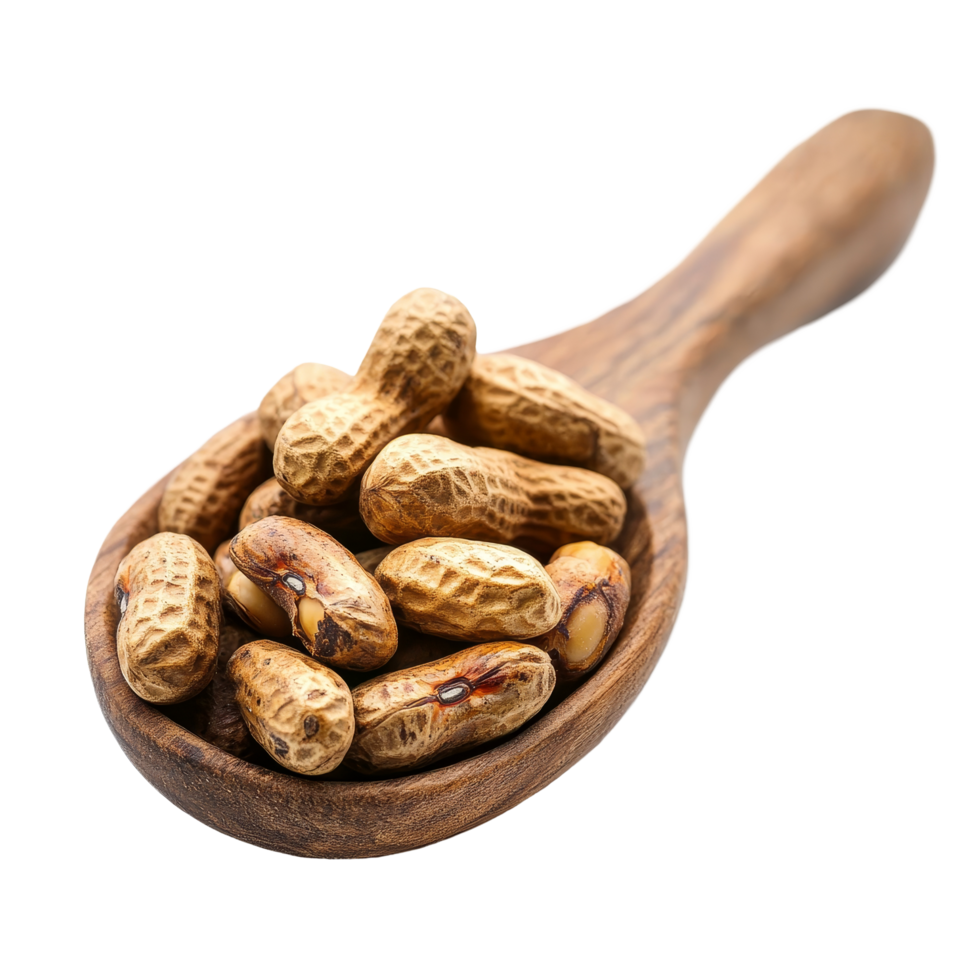 Nutritious tigerstripe beans on a wooden spoon, showcasing their unique texture and color in a simple setting, peanuts ,thai name is tigerstripe beans in wood spoon isolated on transparent background png