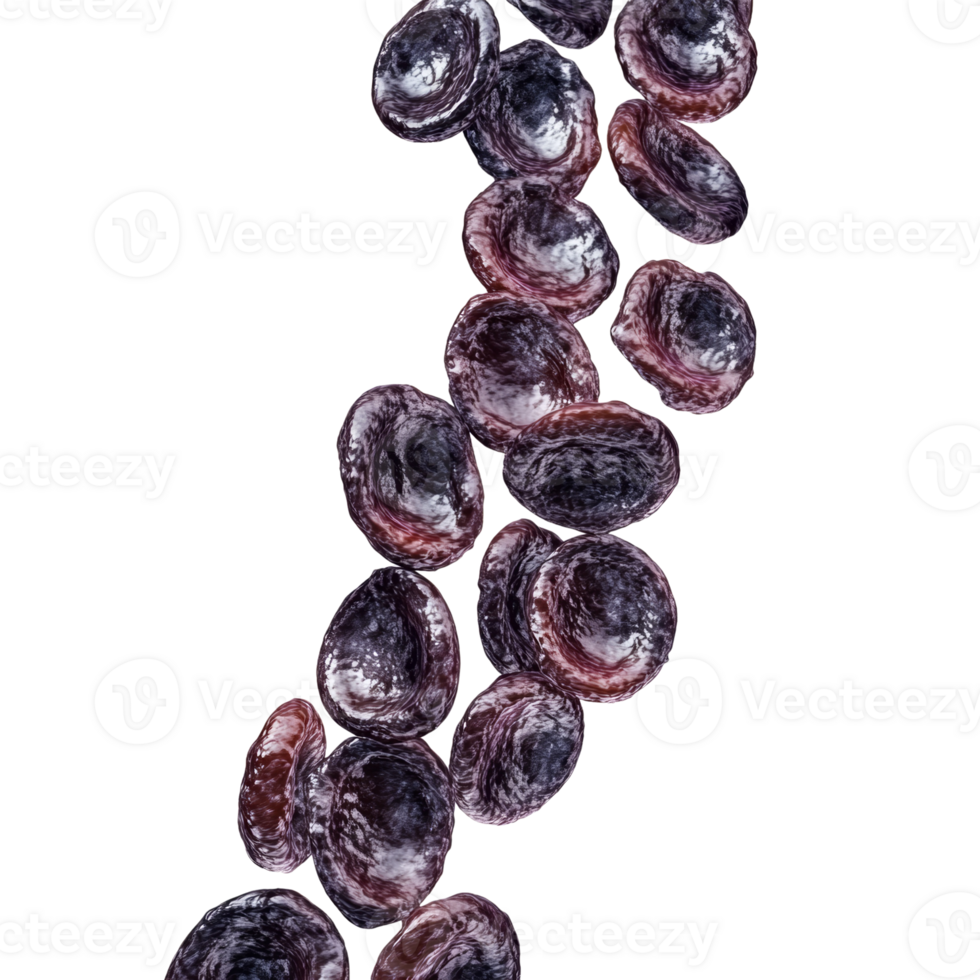 A stream of dark purple blood cells floats png