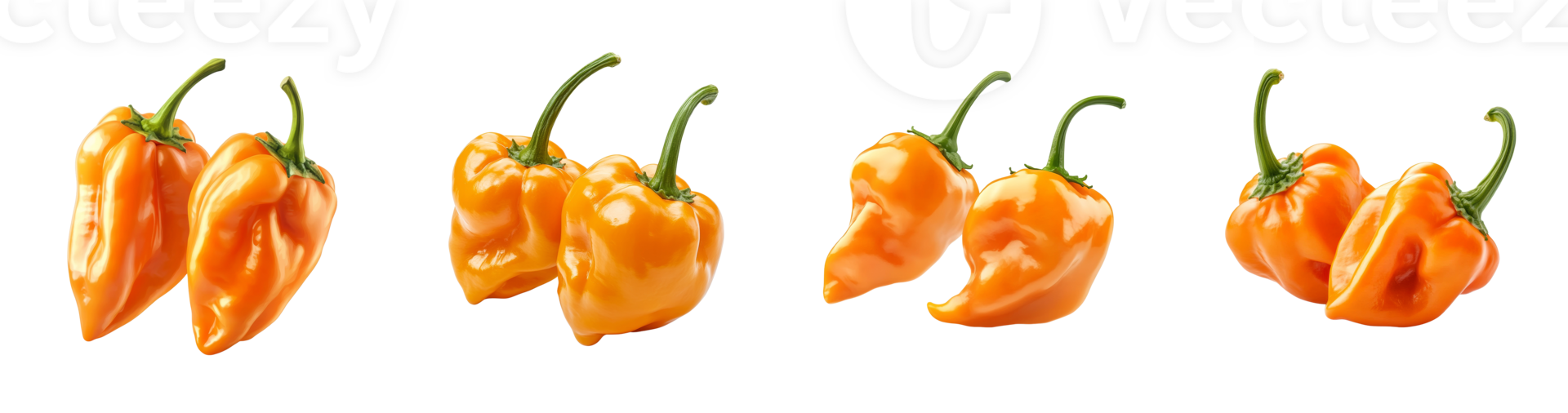 Orange Habanero Peppers Isolated On Black Background png