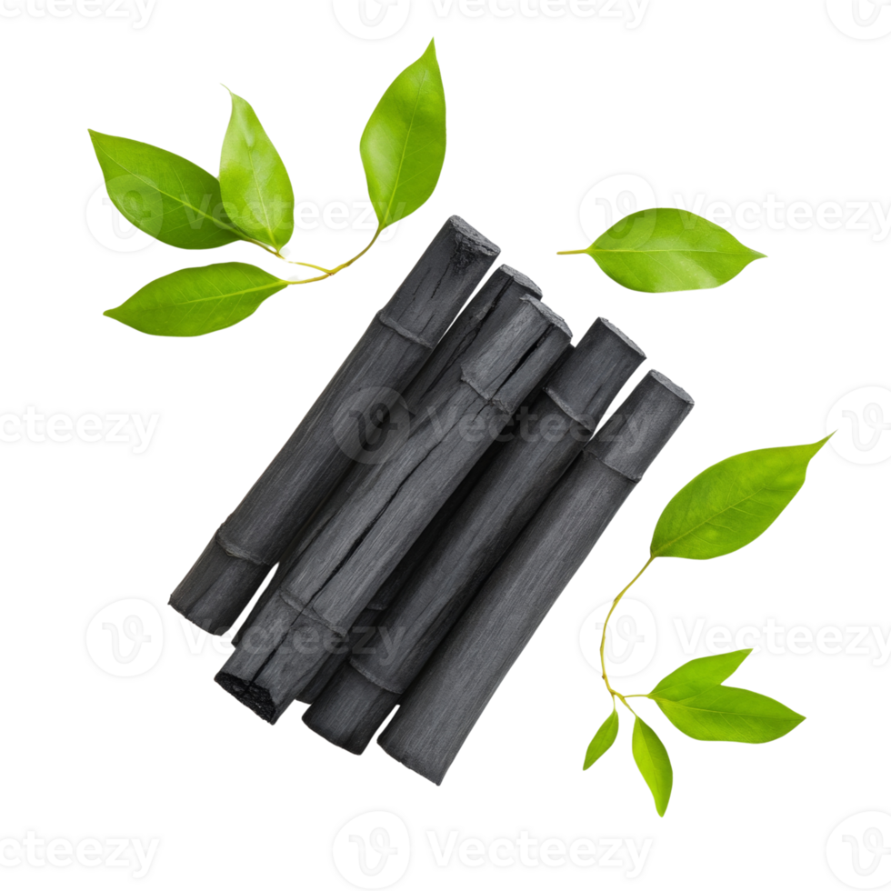 Charcoal Sticks and Green Leaves Arranged Aesthetically png