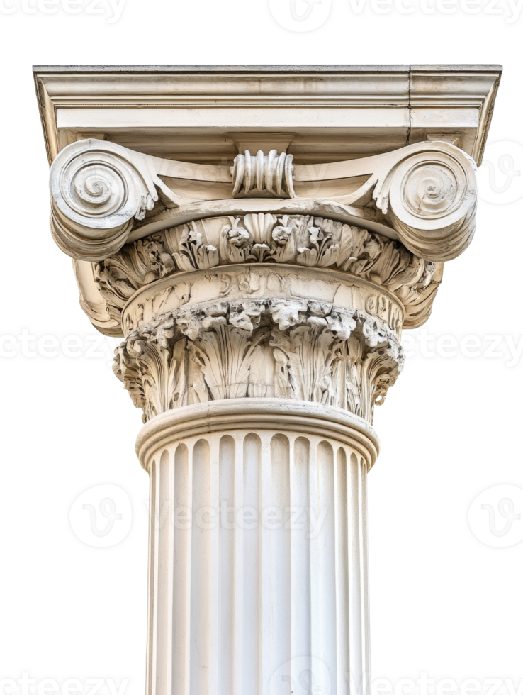 Ionic Column Capital Architectural Detail Displayed png