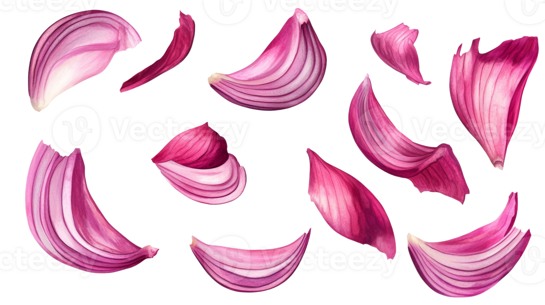 Red onion layers isolated on black background png