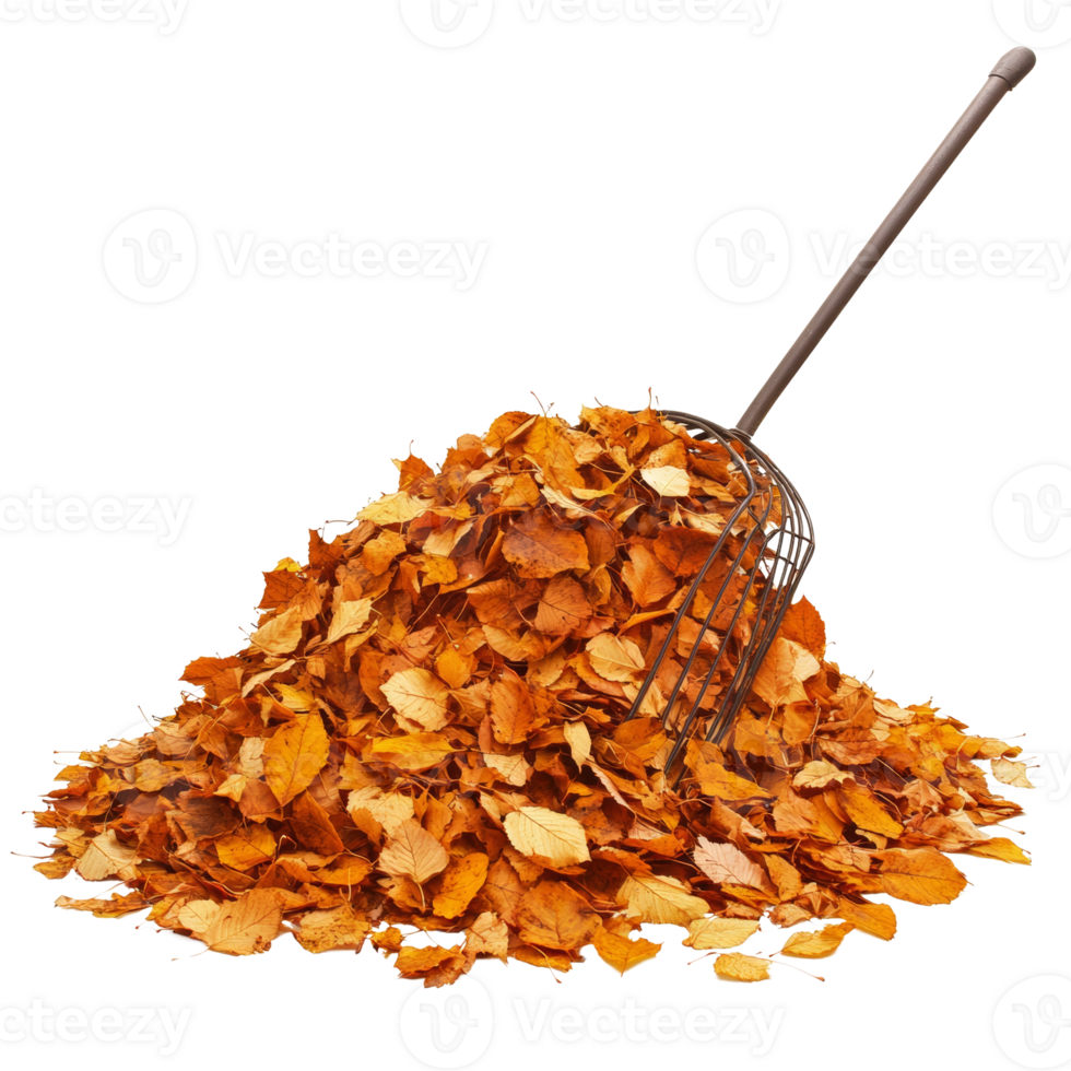 Autumn Leaves Collected In A Metal Leaf Scoop png