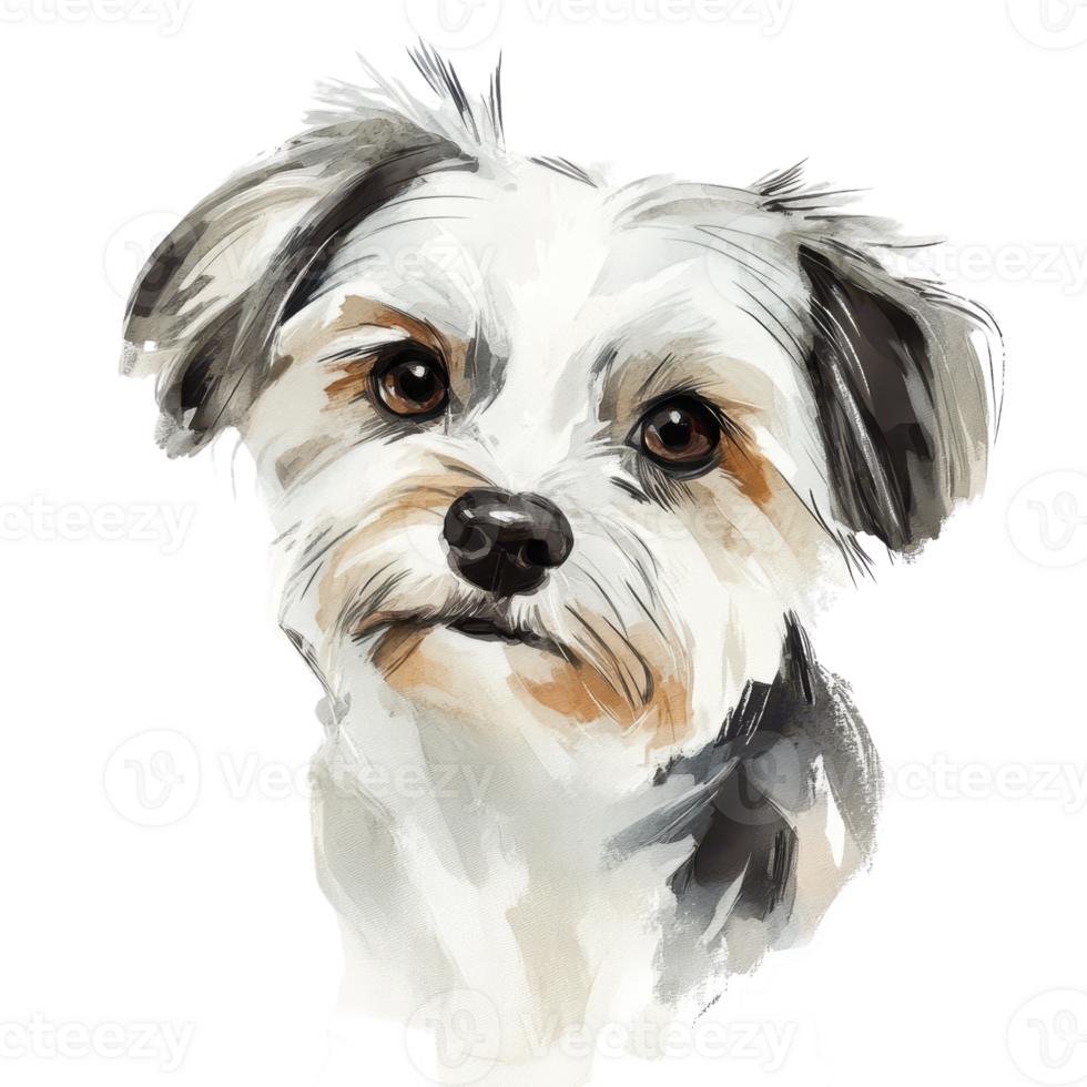 A charming portrait of a small, friendly dog with expressive eyes and fluffy fur. png