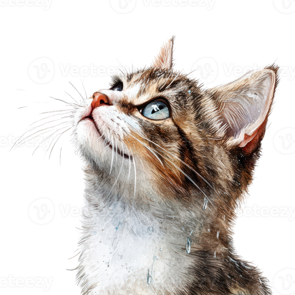 A curious cat looking up with bright, expressive eyes and a soft, detailed fur texture. png