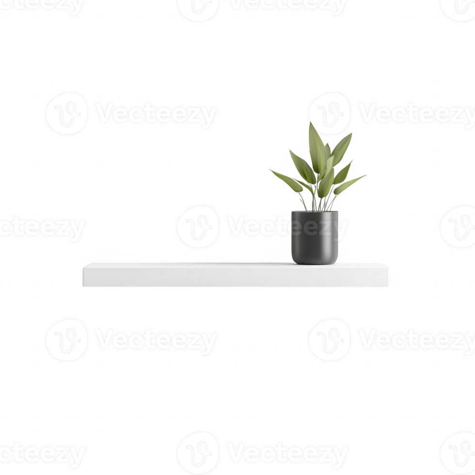 A minimalist shelf with a green plant in a black pot, enhancing modern decor. png