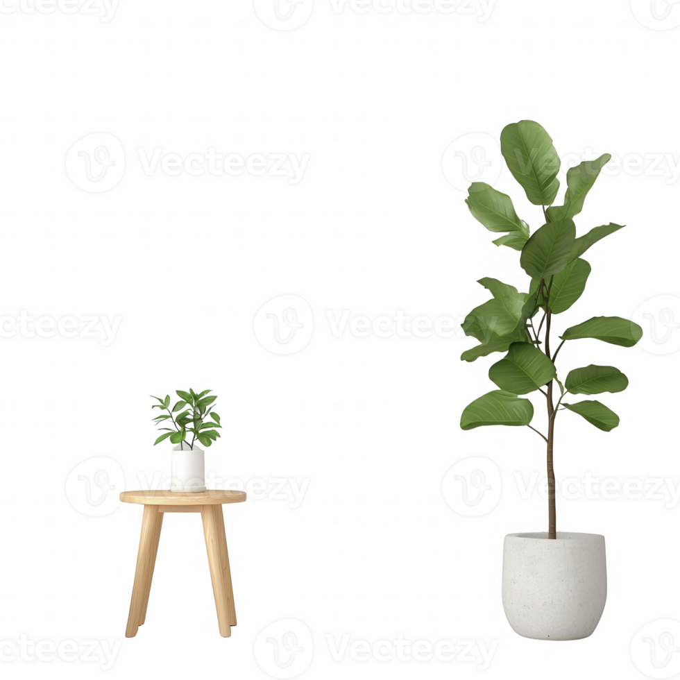 Two indoor plants in modern pots, enhancing cozy home decor and vibrant atmosphere. png