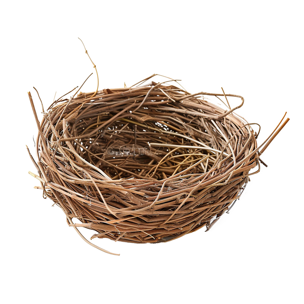Empty bird nest twigs brown nature home png