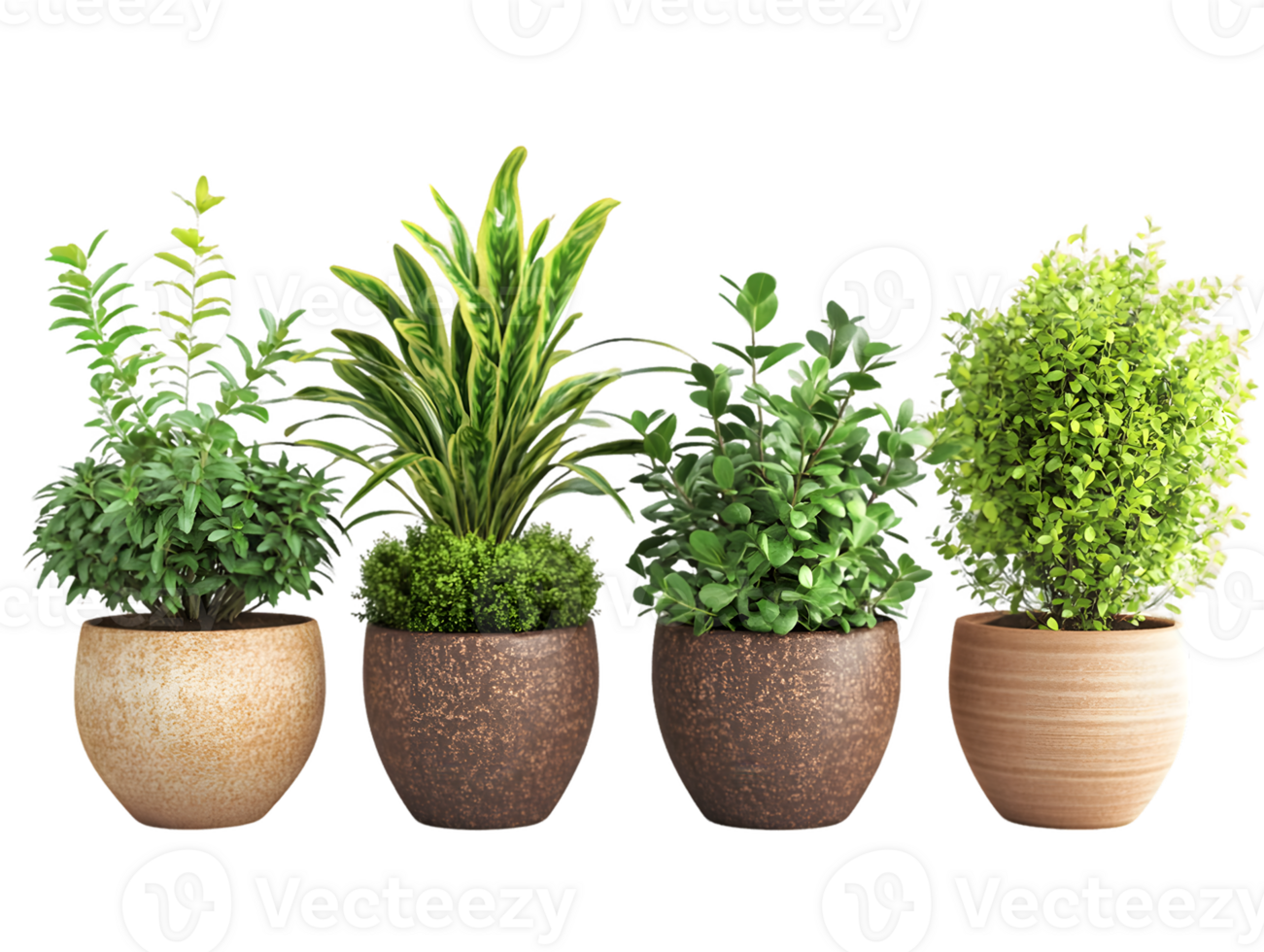 Collection of Lush Potted Plants with Varied Foliage and Textures png