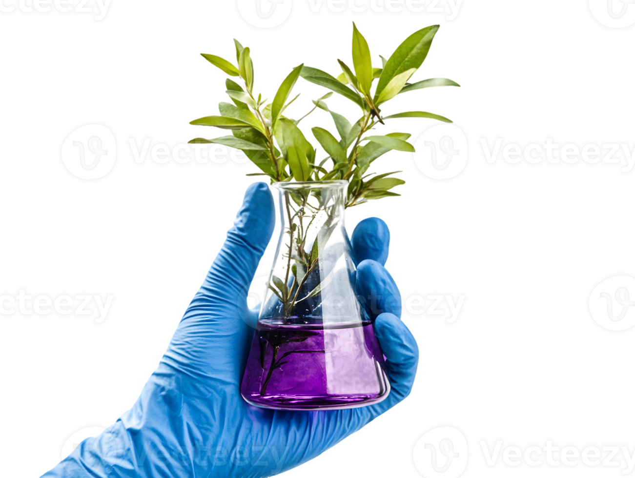 Gloved Hand Holding Erlenmeyer Flask with Plant and Purple Liquid png