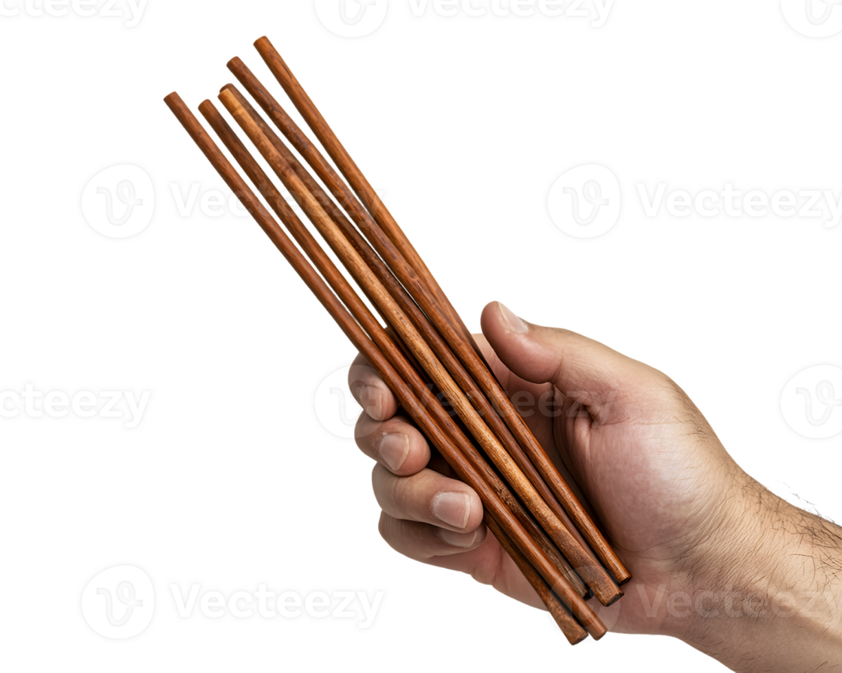 Hand Holding a Bundle of Slender Brown Wooden Sticks png