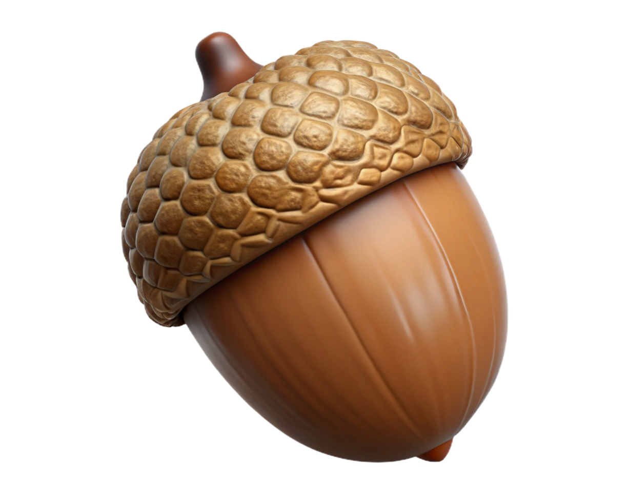 Detailed 3D Render of a Single Brown Acorn Nut png