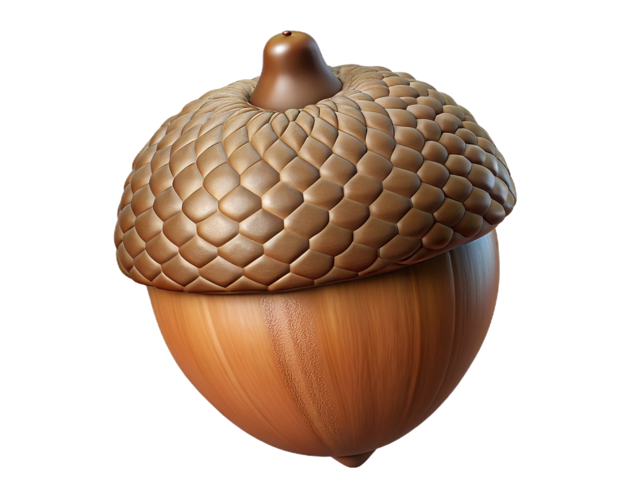 Detailed 3D Render of a Single Acorn Nut, Autumn Nature png
