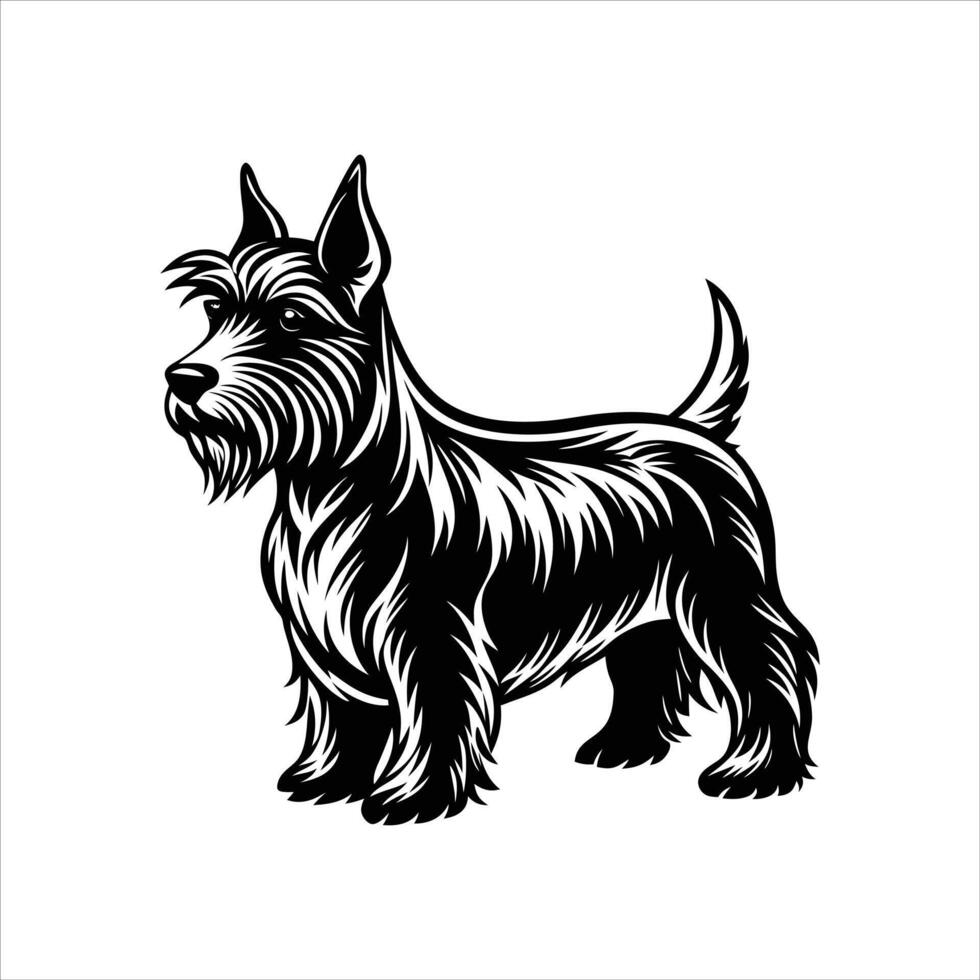 Scottish Terrier Dog Head Vectors